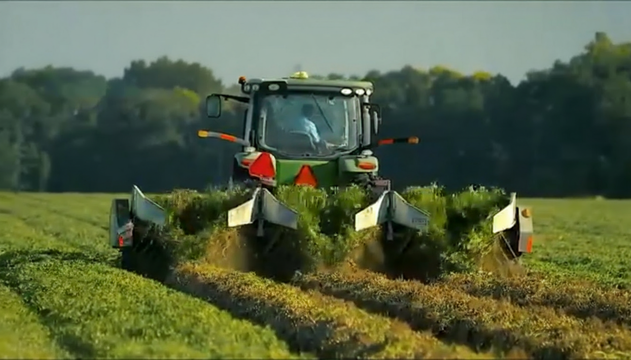 Yer Fıstığının Dikiminden Hasadına Yolculuğu