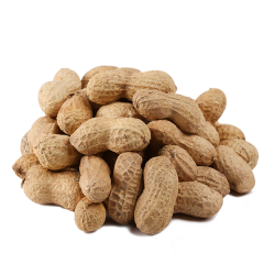 Çiğ Kabuklu Yer Fıstığı 500 g.